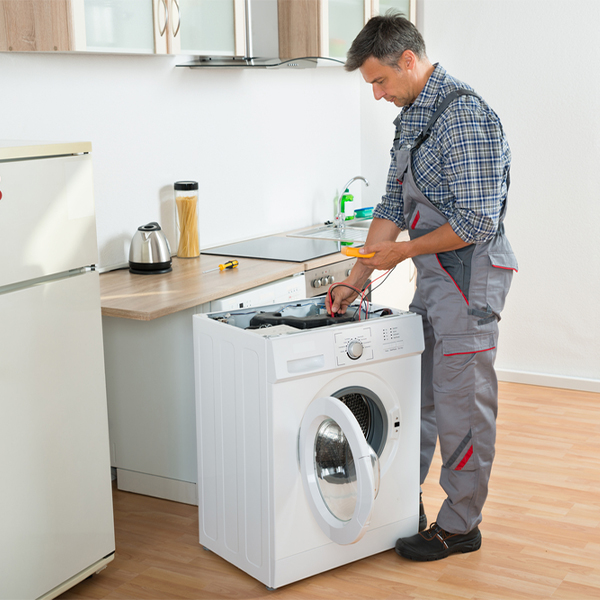 what are common issues that can arise with a washer in Mottville Michigan